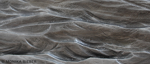 Bild mit Wasserzeichen